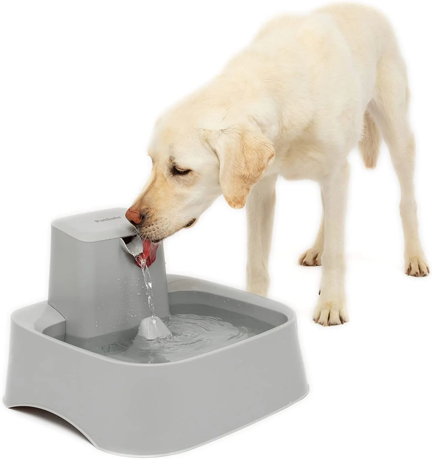 Drink well Gallon Fountain for Dogs