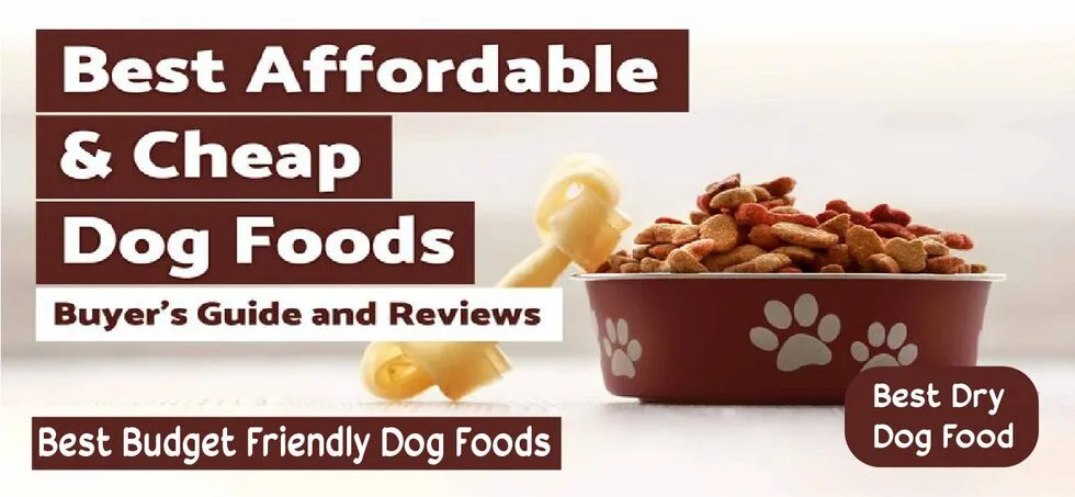 Best value dog food