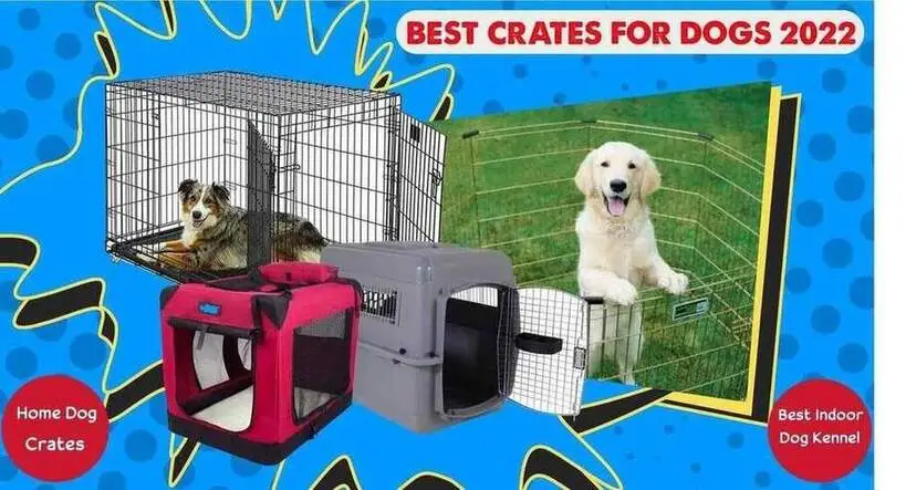 Best crates for dogs