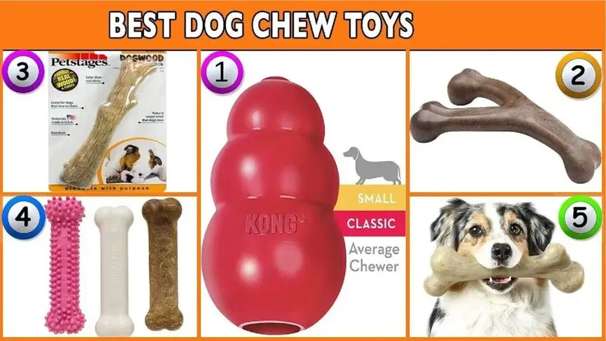 Best Dog Toys For Chewers