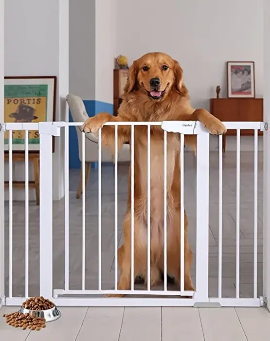 Retractable dog gate