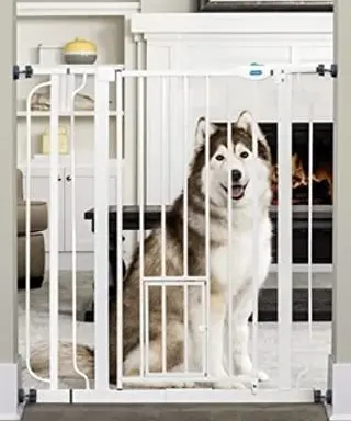 Pet gate with door