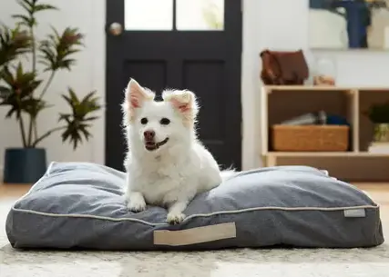 Bedsure Waterproof Dog Beds for Large Dogs 