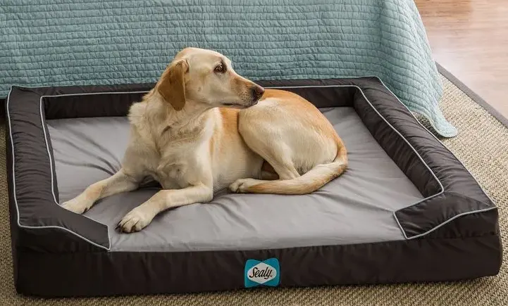 Sealy Lux Pet Dog Bed 