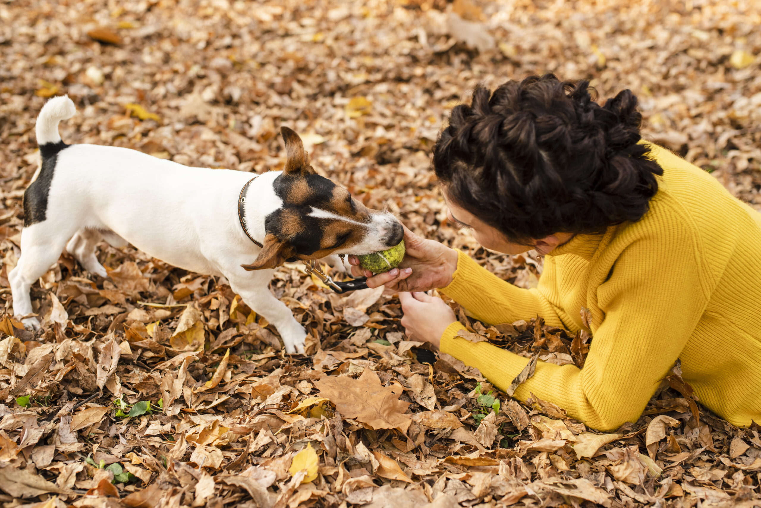 Woman playing with dog in autumn leaves