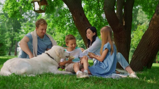 socializing-a-new-puppy-with-people-in-a-park-for-confidence-building