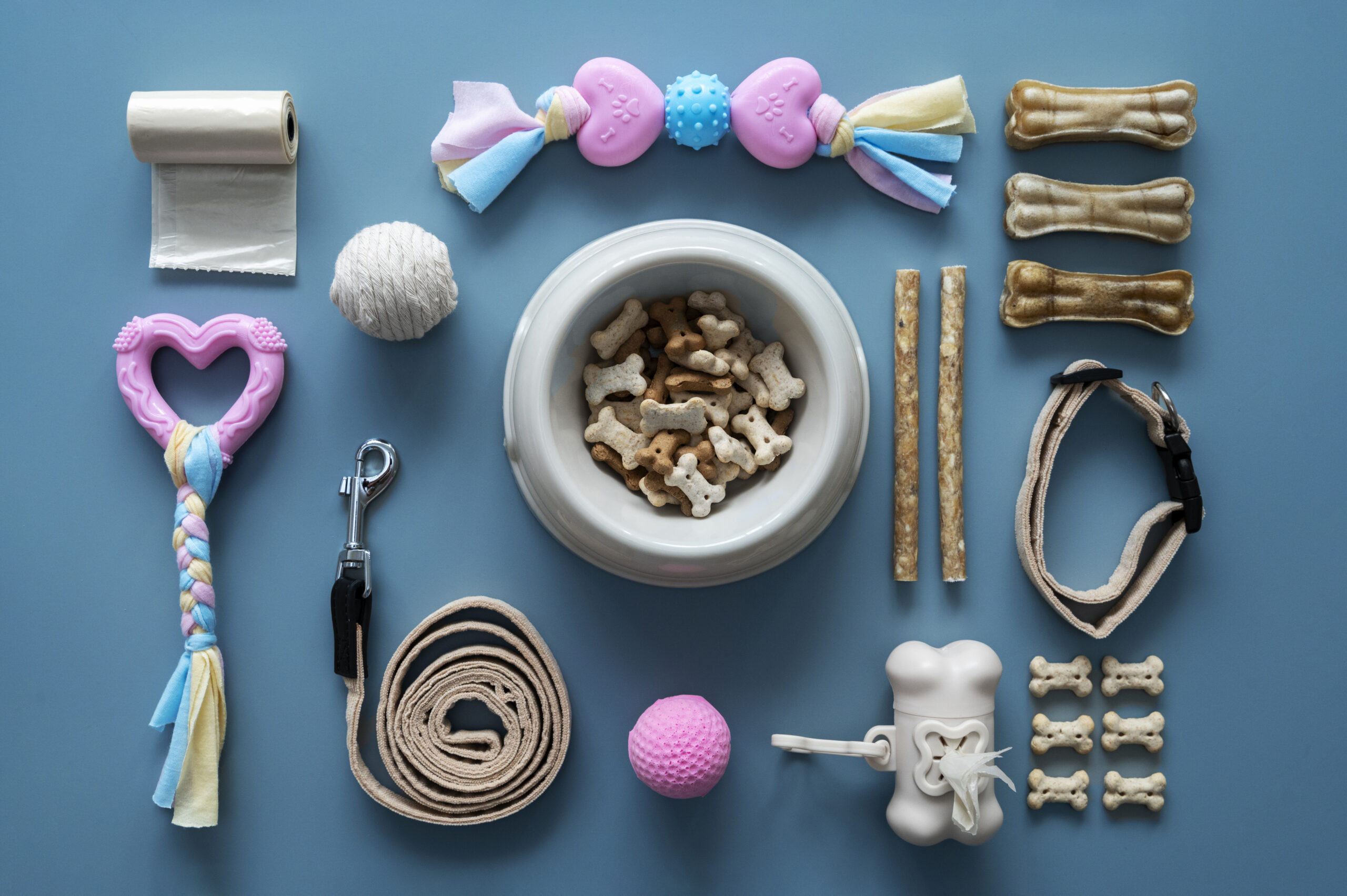 PupzCorner treats your pets with premium essentials – dog biscuits, chew toys, collars, leashes, and healthy snacks for happy pets.