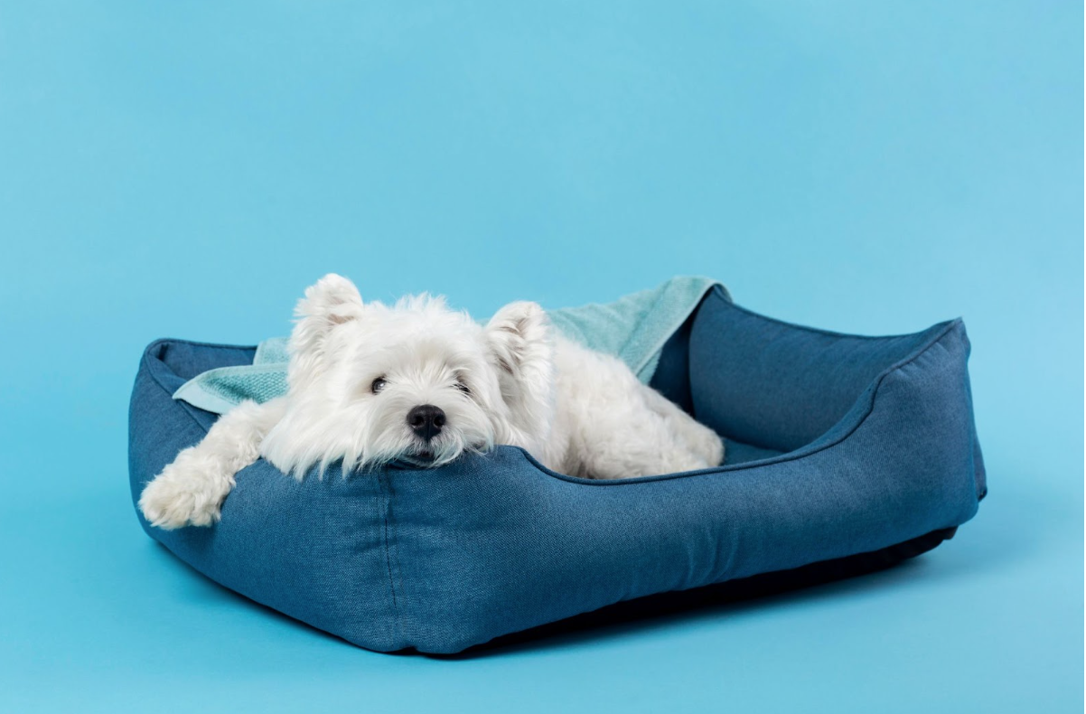 Small white dog relaxing peacefully in one of PupzCorner’s calming dog beds designed for stress relief and comfort.
