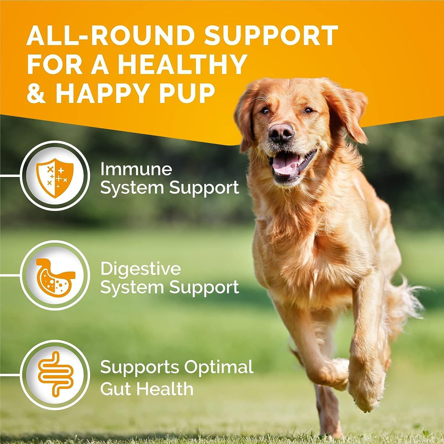 Itch Relief for Dogs - 120 Allergy Chews for Dogs - anti Itch Seasonal Support for Pets Itchy Skin Relief Skin Health Support with Colostrum, Vitamin C, Omega and Bee Pollen - Image 3