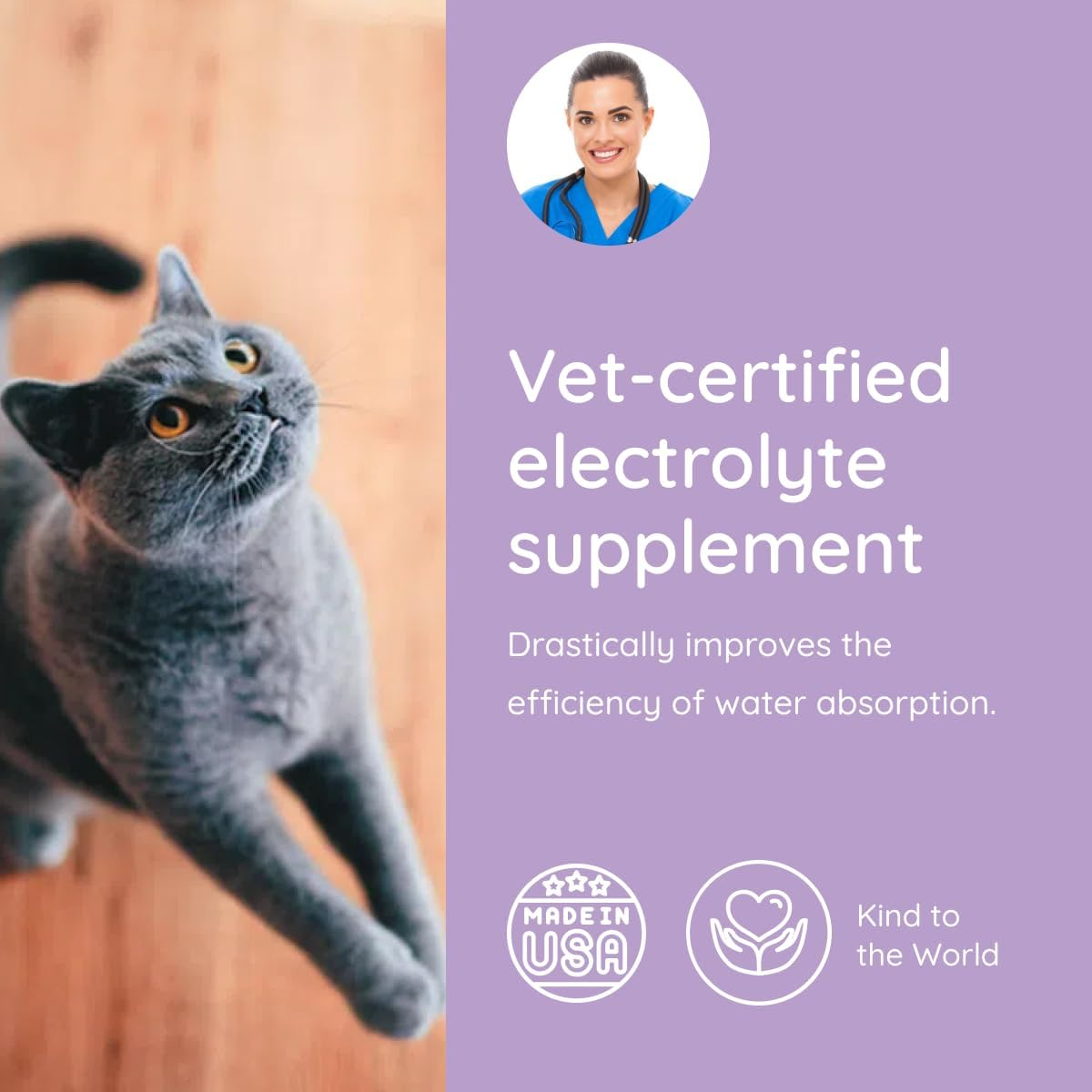 Cat Hydration Electrolyte and Cat Joint Supplement | Hydration Support for Cats W/Glucosamine, Chondroitin, L-Glutamine, Taurine, Lysine & Prebiotics | for Salmon Lovers | 32 Packets - Image 3