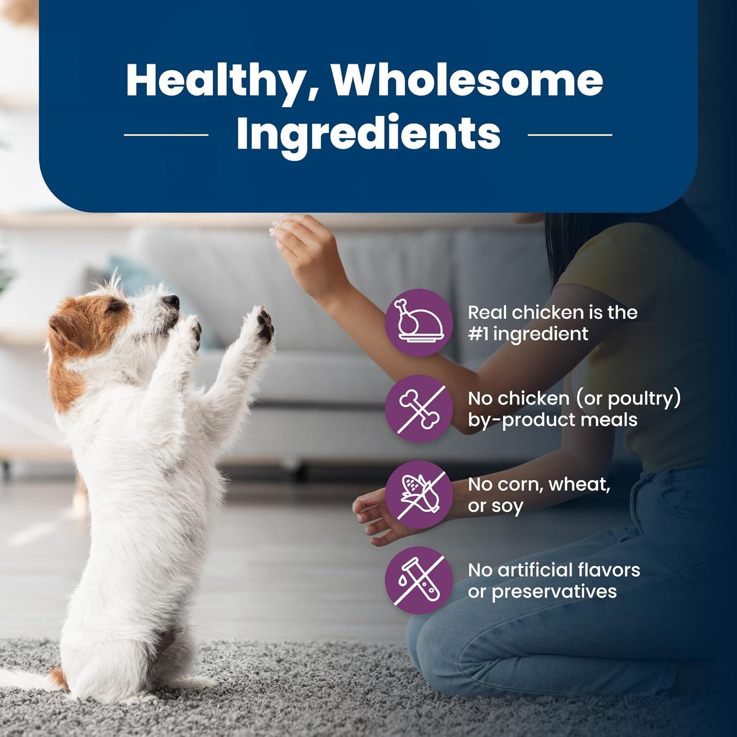 Life Protection Formula Small Breed Senior Dry Dog Food, Supports Joint Health and Immunity, Made with Natural Ingredients, Chicken & Brown Rice Recipe, 5-Lb Bag - Image 6