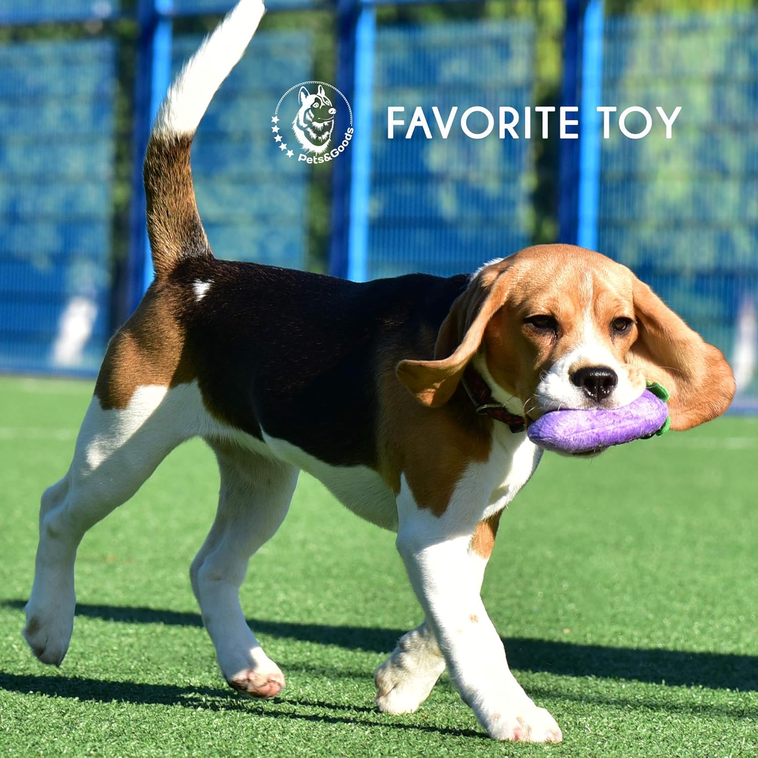 Plush Squeaky Dog Toys – 6-Pack Soft Stuffed Fruit & Vegetable Set for Puppies & Small Dogs – Durable, Cute, Crinkle & Teething Play - Image 9