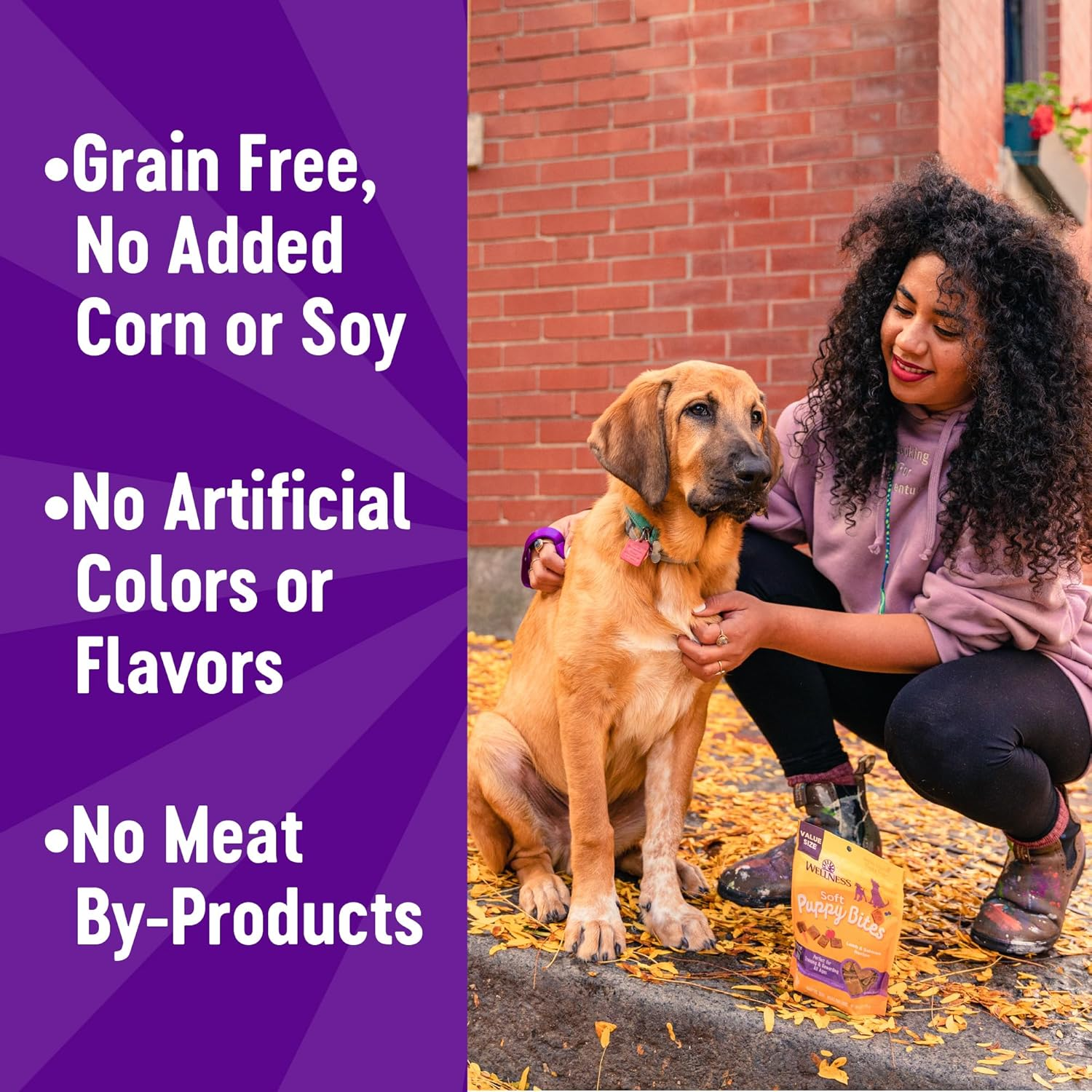 Puppy Treats, Natural, Training Treat, Grain Free, Soft Lamb & Salmon (8 Ounce Bag) - Image 7