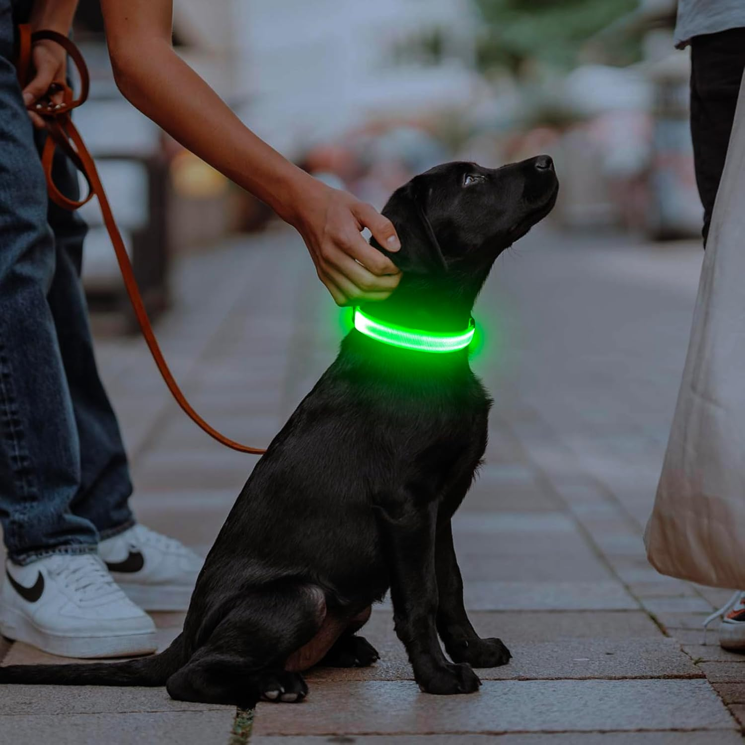 Light up Dog Collar, USB Rechargeable LED Dog Collar Glow in the Dark,Adjustable Pet Safety Lights for Night Walking (Green, Medium) - Image 5
