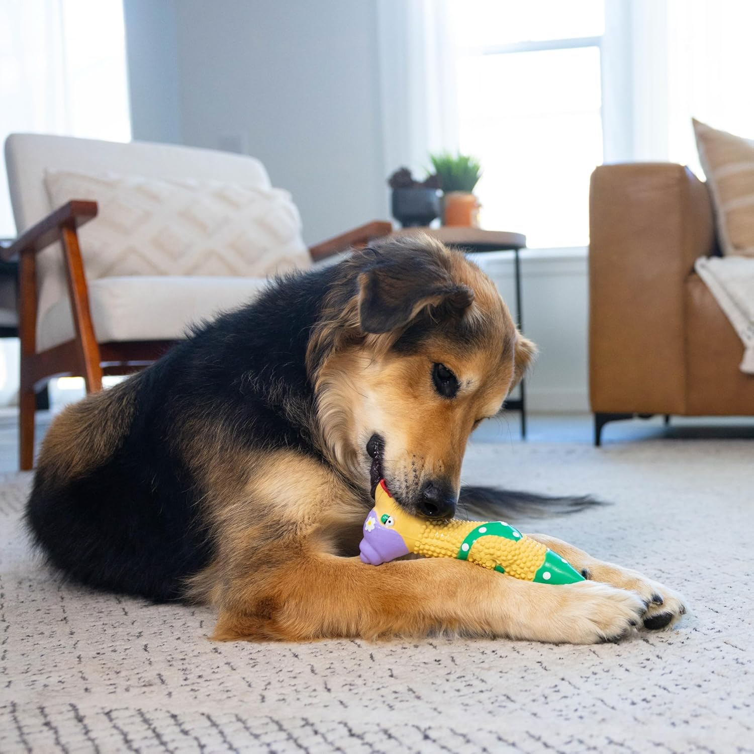 by Charming Pet Squawkers Grandma Hippie Chick Latex Squeaky Rubber Chicken Dog Toy, Funny Interactive Holiday Toy for Dogs, Large Size - Image 5