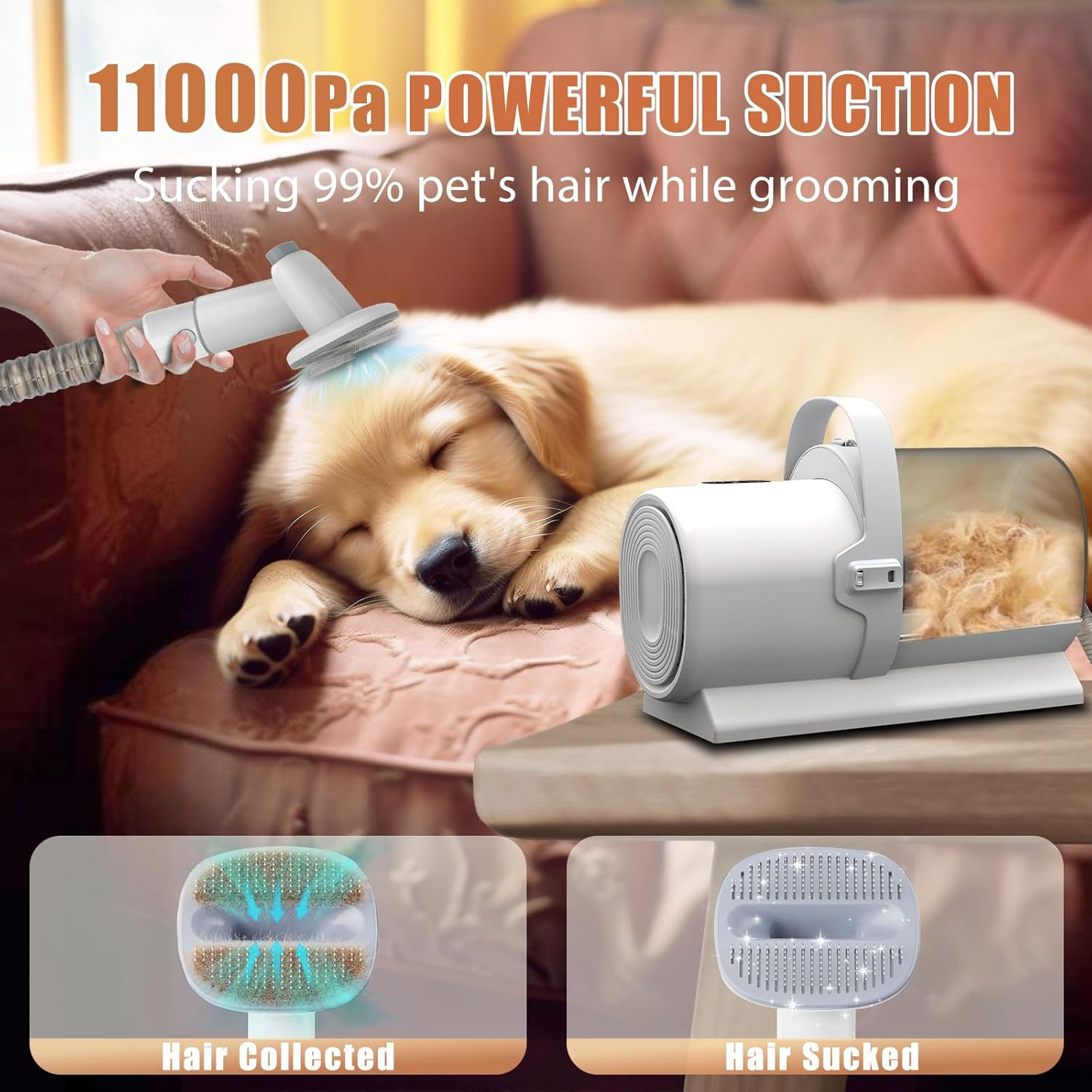Dog Grooming Vacuum, Pet Grooming Kit with Dog Clippers, 2.5L Dust Cup 11000Pa Dogs Vacuum for Shedding Grooming, 5 Grooming Tools Home Cleaning in 1, Low Noise Pet Grooming Vacuum for Dogs, PG50 - Image 3