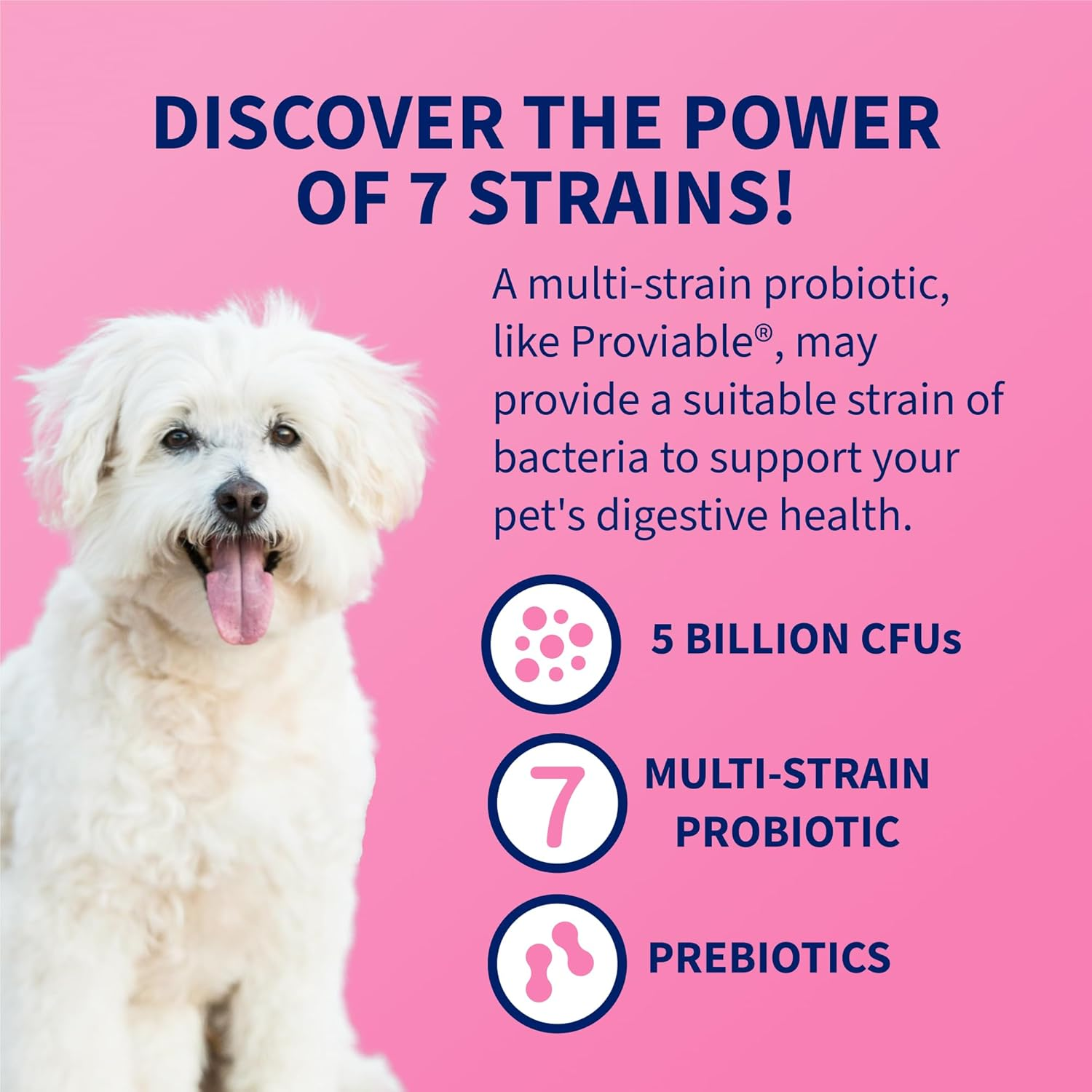 30 Count Proviable Health Supplement for Cats and Dogs (PROVDC30) - Image 5