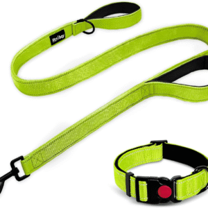 Heavy Duty Double-Sided Reflective Dog Leash, Padded Handle Nylon Reinforced Reflective Buckle Dog Collar, Green, Large, 6FT
