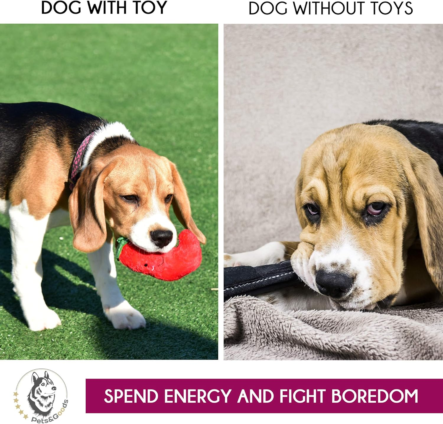 Plush Squeaky Dog Toys – 6-Pack Soft Stuffed Fruit & Vegetable Set for Puppies & Small Dogs – Durable, Cute, Crinkle & Teething Play - Image 5