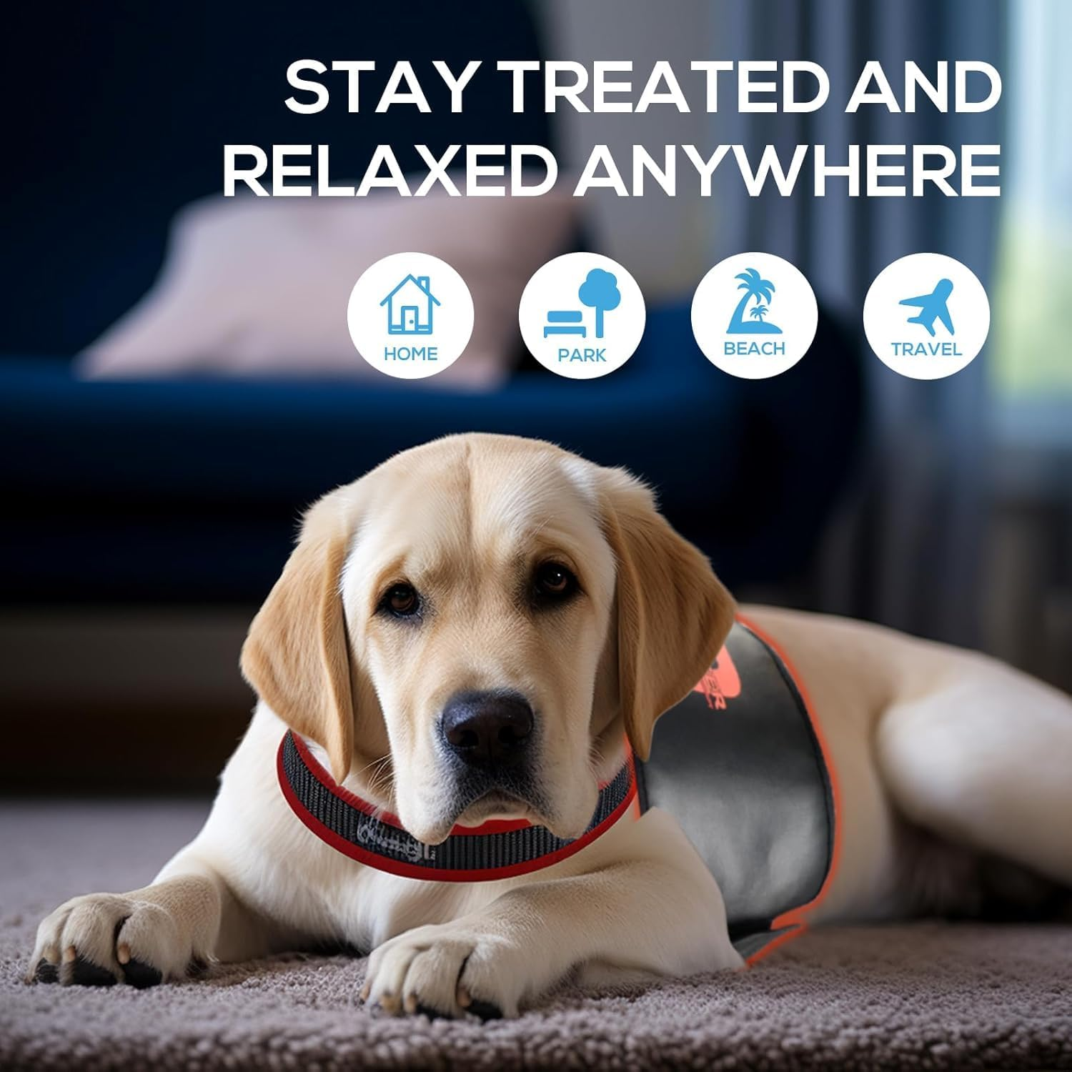 Red Light Therapy Belt for Pets, Portable Red Light Therapy for Dogs,Wearable Red Infrared Light Therapy Devices for Dogs Tissue Repair, Joint & Back Pain - Image 4