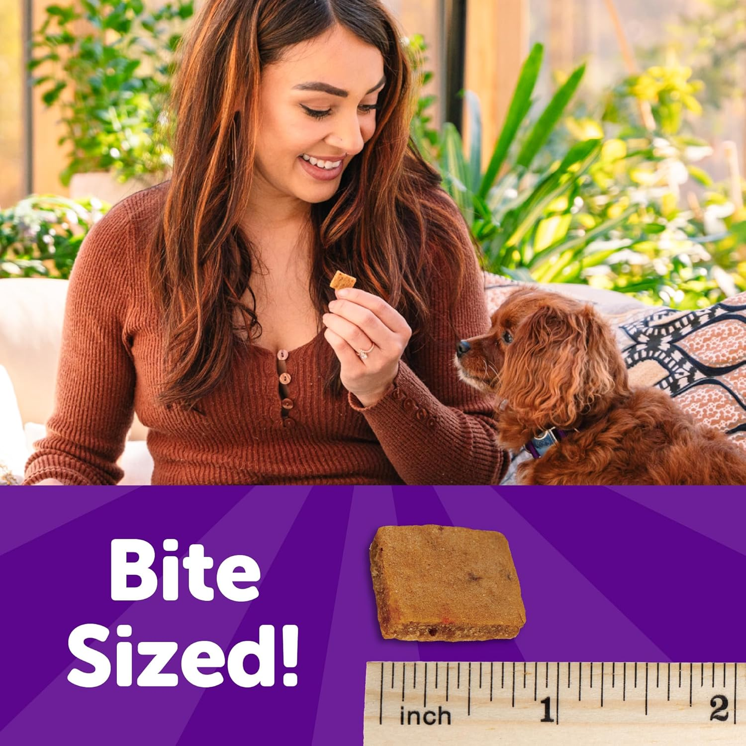 Puppy Treats, Natural, Training Treat, Grain Free, Soft Lamb & Salmon (8 Ounce Bag) - Image 4