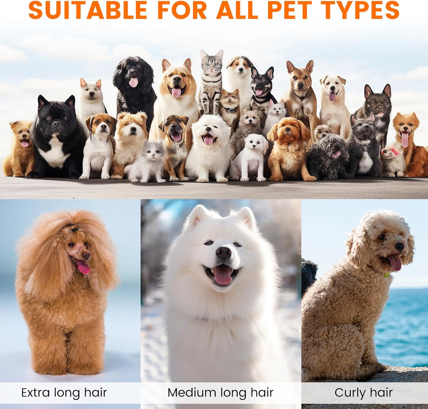 Dog Grooming Vacuum, Dog Grooming Kit with Pet Clippers, 12,000Pa Pet Hair Vacuum for Dogs, Low Noise Home Cleaning Tool in 1, PG10 - Image 7