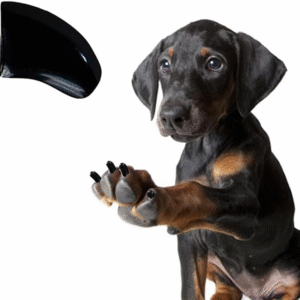 60 Piece Soft Nail Caps with Adhesive for Dog Claws - Jet Black Jumbo