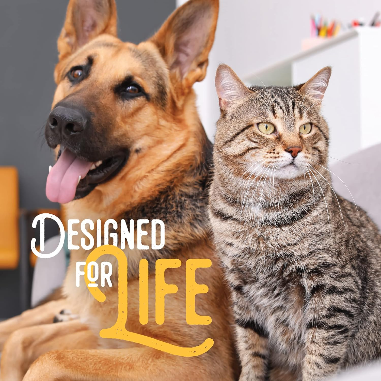 Woodlands Plush Squirrel Dog Toy, Small - Image 8