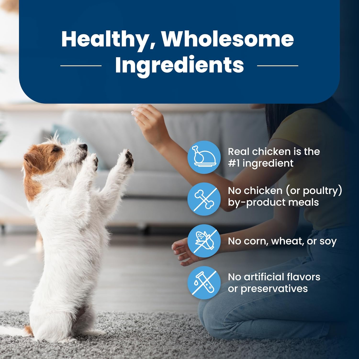 Life Protection Formula Puppy Dry Dog Food with DHA and ARA, Made with Natural Ingredients, Chicken & Brown Rice Recipe, 5-Lb Bag - Image 6