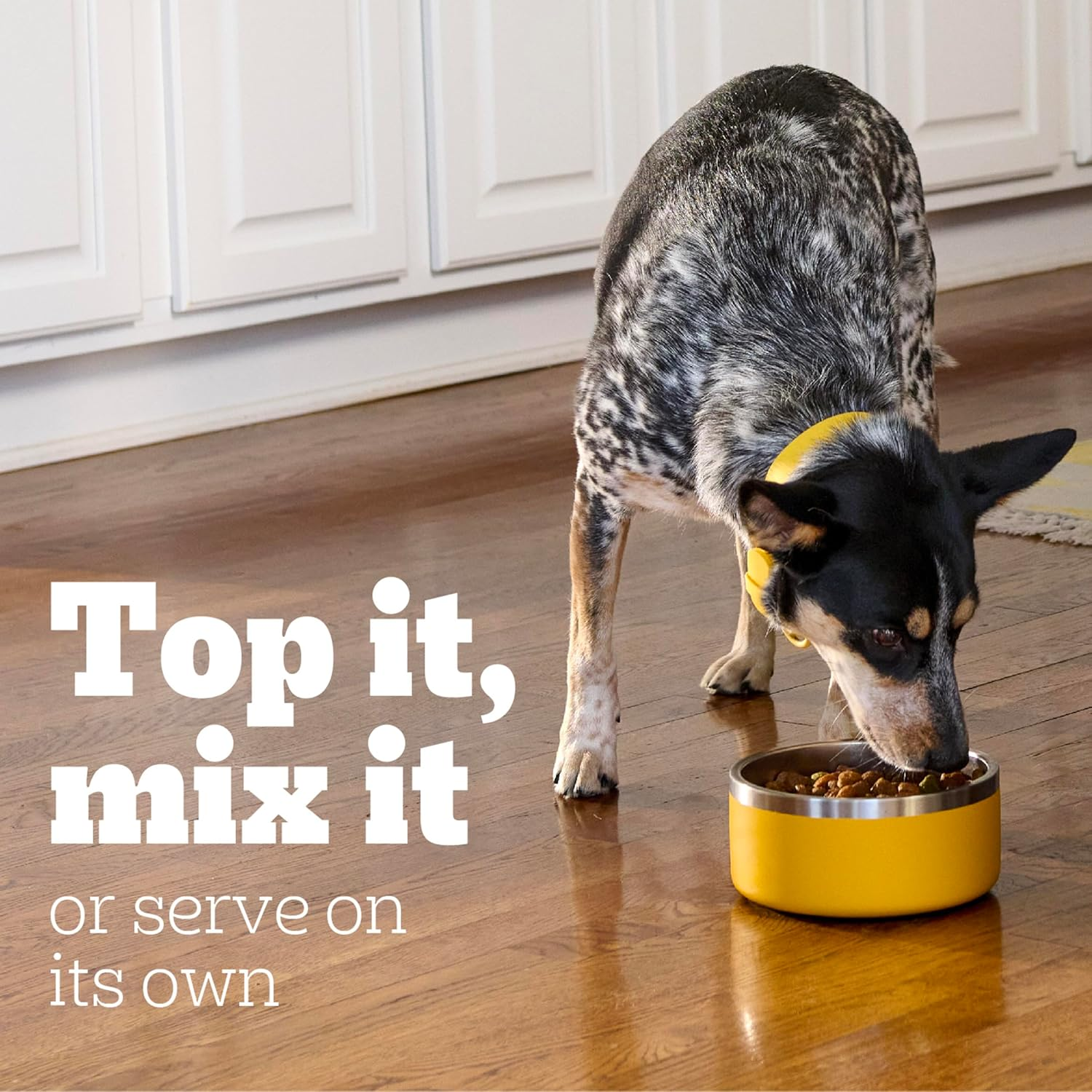 Choice Cuts in Gravy Adult Canned Soft Wet Dog Food, Steak & Vegetable, 13.2 Oz. Cans (12 Count, Pack of 1) - Image 5