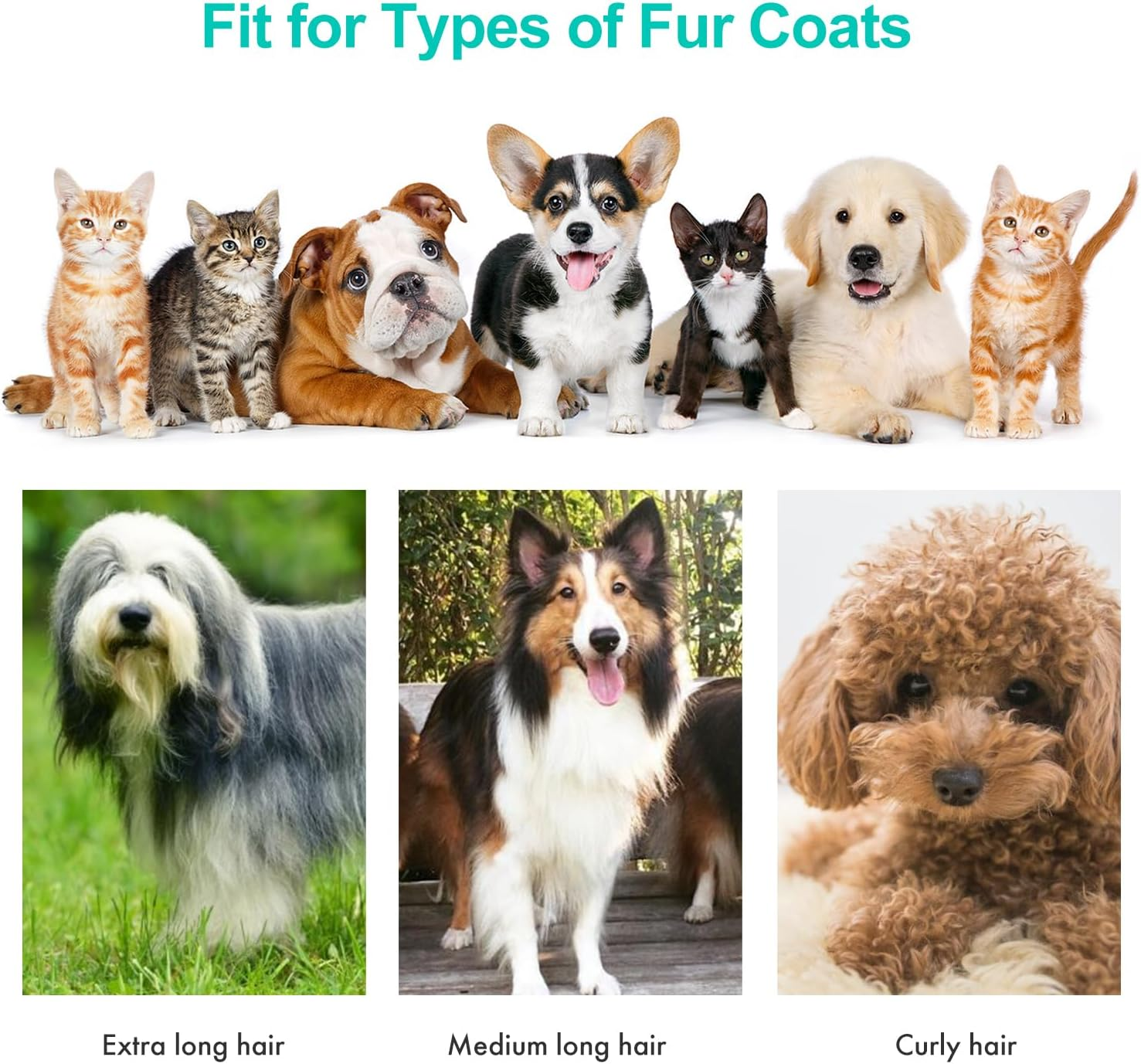 P1 Pro Pet Grooming Kit & Vacuum Suction 99% Pet Hair, Professional Clippers with 5 Proven Grooming Tools for Dog and Cat - Image 4