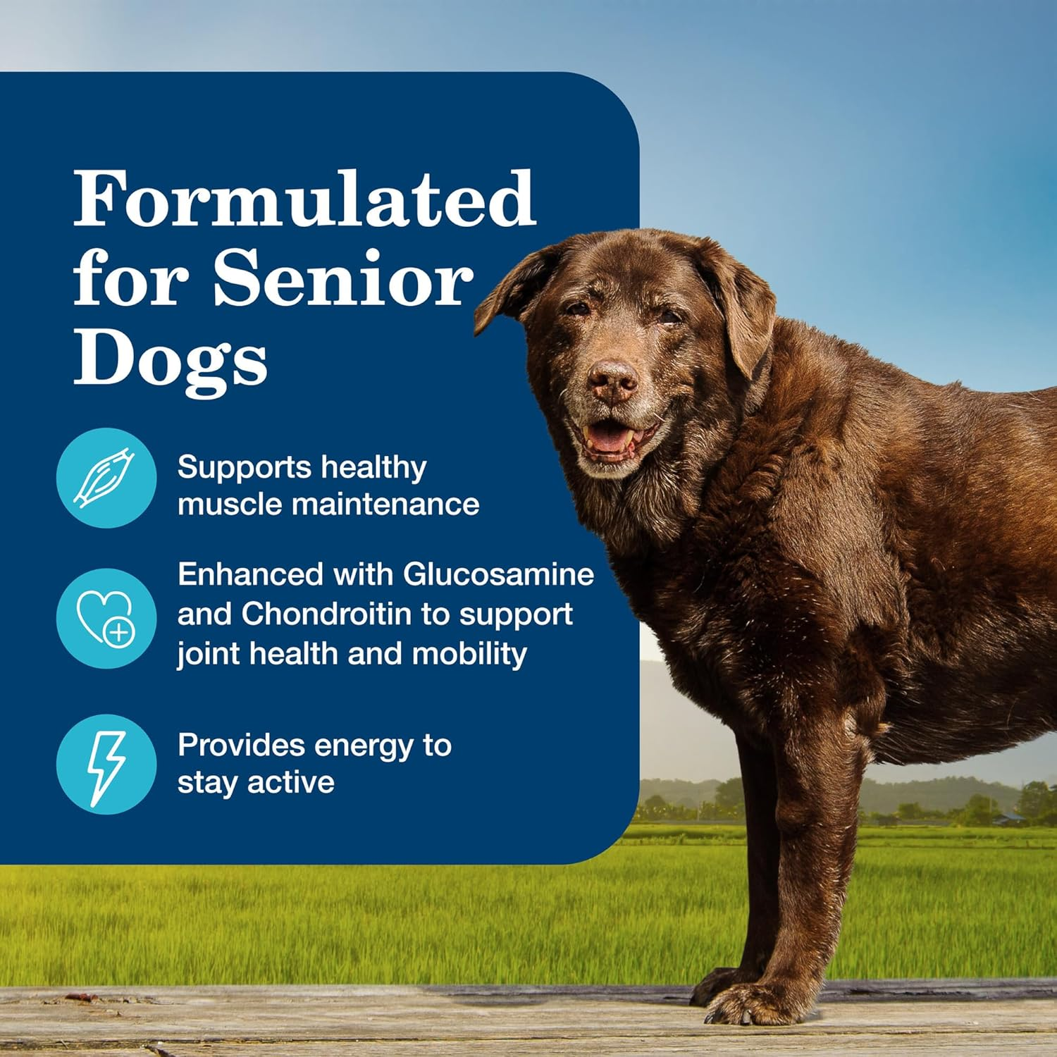 Homestyle Recipe Senior Wet Dog Food, Made with Natural Ingredients, Chicken Dinner with Garden Vegetables, 12.5-Oz Cans (12 Count) - Image 5