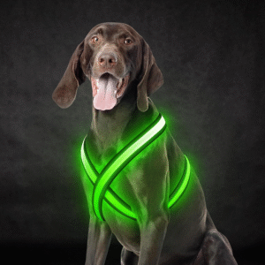 Light up Dog Harness, Rechargeable LED Dog Harness, Glow in the Dark Dog Vest, Adjustable Pet Lights for Night Walking, Reflective Safety Vest for Medium Large Pet (Green, S)