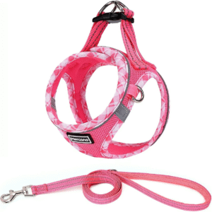 Soft Mesh Dog Harness and Leash Set, No-Chock Step-In Reflective Breathable Lightweight Easy Walk Vest Harnesses with Safety Buckle for Small Dogs, Cats (XS, Fuchsia)