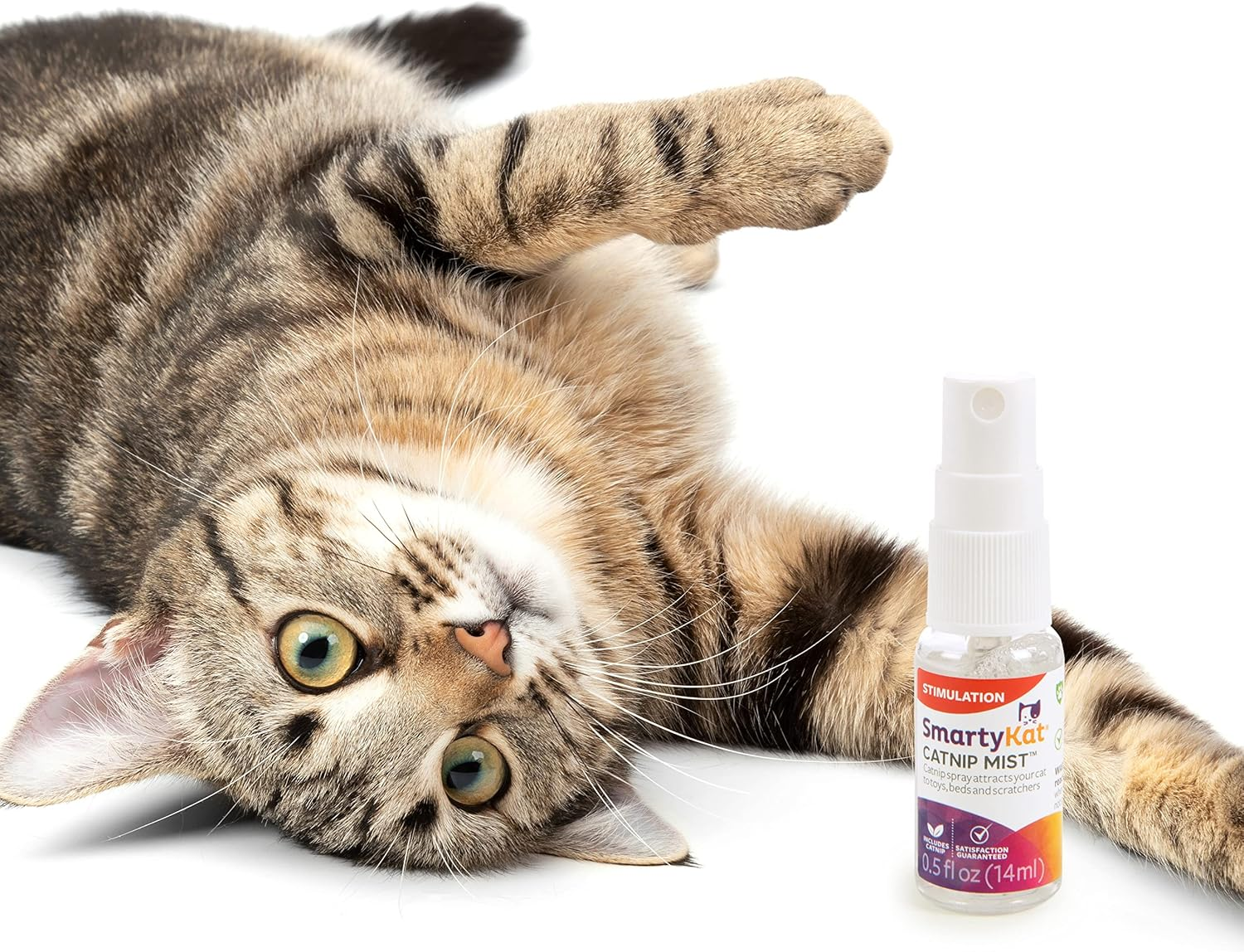 Catnip Mist Spray for Cats & Kittens, Safe for Pets - Trial Size, 0.5 Fluid Ounce - Image 4