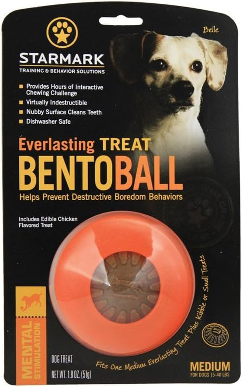 Everlasting Treat Bento Ball Tough Dog Chew Toy Medium