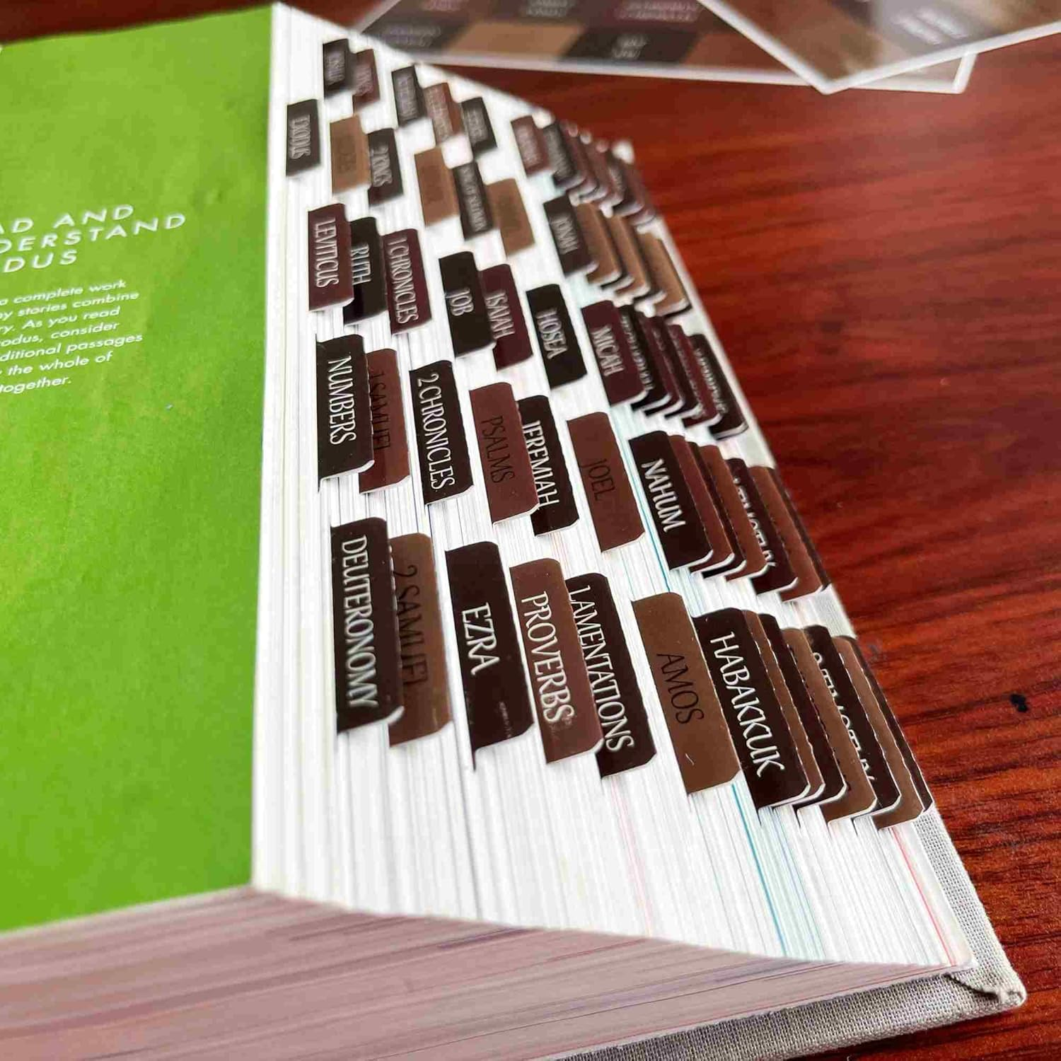 Reposition Laminated Bible Tabs, Large Print Stickers, Easy to Read & Apply Bible Tabs for Women & Man (Earthy Brown) - Image 3