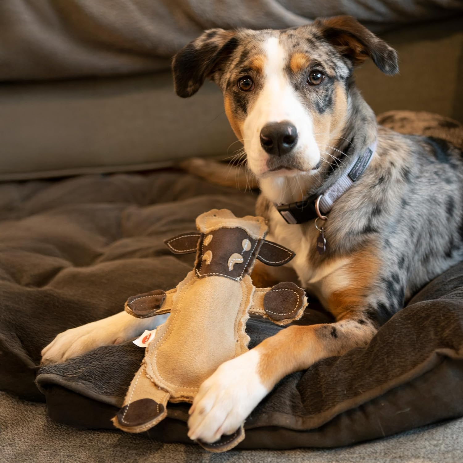 Dura-Fused Leather Barnyard Animals - Stuffed Dog Toy with Squeaker, Real Leather & Jute Fabric, for Light to Moderate Chewers, Great for Adult Dogs and Puppies - 11In, Assorted Styles, 1 Piece - Image 6