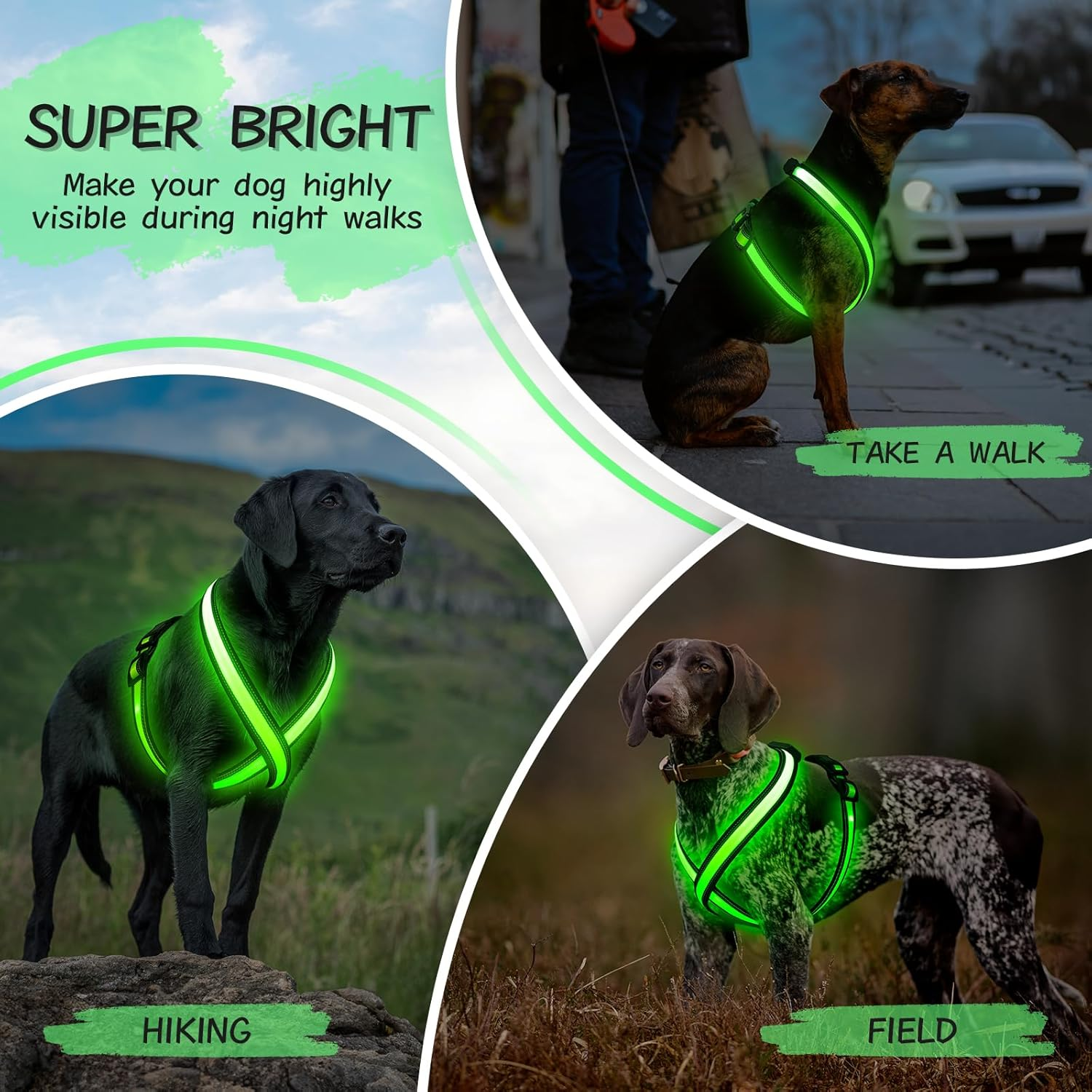 Light up Dog Harness, Rechargeable LED Dog Harness, Glow in the Dark Dog Vest, Adjustable Pet Lights for Night Walking, Reflective Safety Vest for Medium Large Pet (Green, S) - Image 7