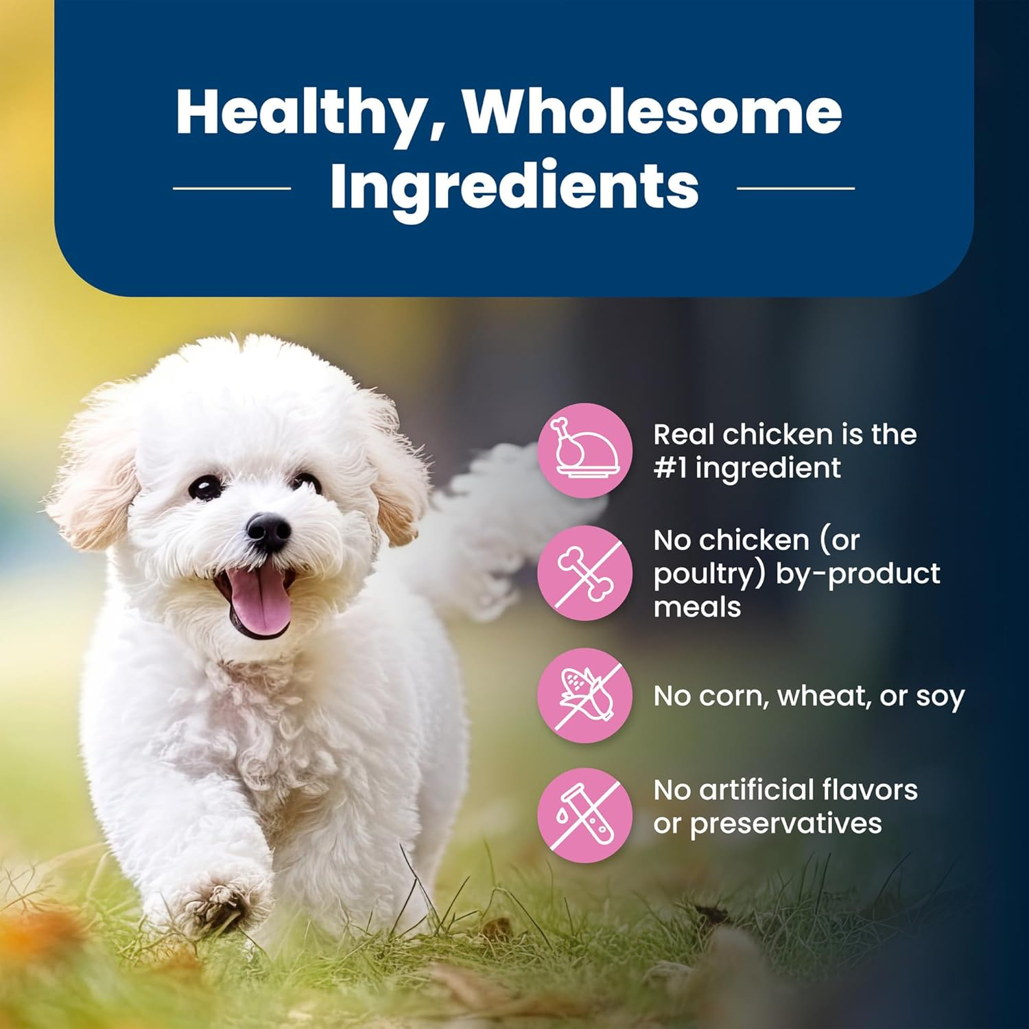 Life Protection Formula Natural Adult Small Breed Dry Dog Food, Chicken and Brown Rice 5-Lb Trial Size Bag - Image 7