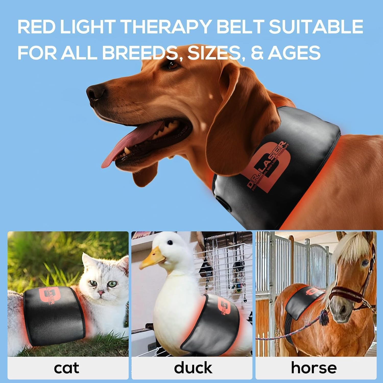 Red Light Therapy Belt for Pets, Portable Red Light Therapy for Dogs,Wearable Red Infrared Light Therapy Devices for Dogs Tissue Repair, Joint & Back Pain - Image 5