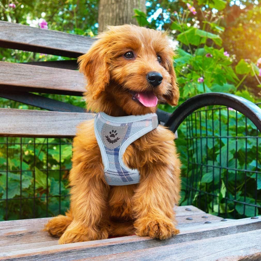 Adjustable Dog Harness Collar and Leash Set Step in No Pull Pet Harness for Small Medium Dogs Puppy and Cats Outdoor Walking Running, Soft Mesh Padded Reflective Vest Harnesses, Blue M - Image 8