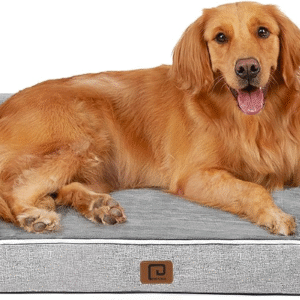 Orthopedic Dog Beds Large Sized Dog, Waterproof Memory Foam Pet Bed with Sides, Non-Slip Bottom Large Pet Bed with Washable Removable Cover, Grey