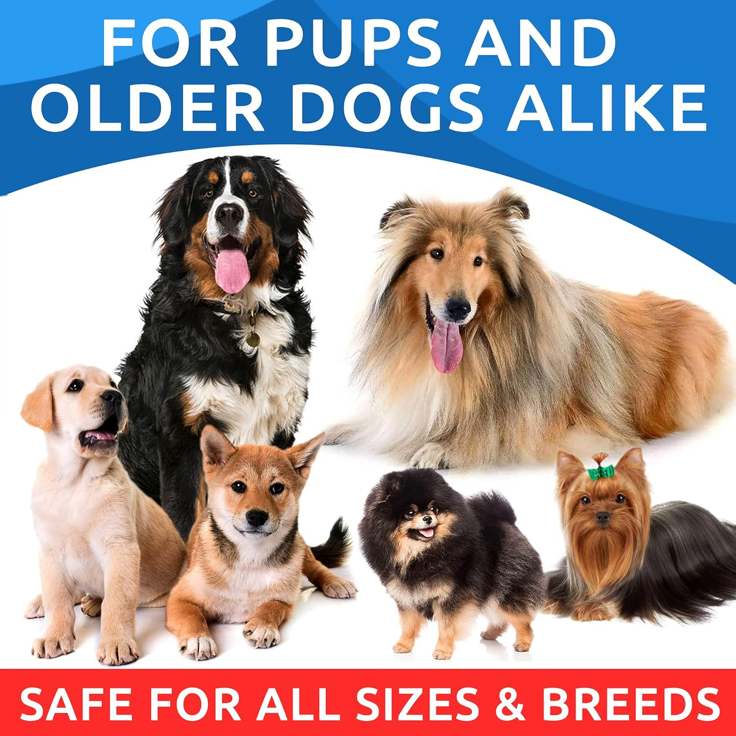 Omega 3 for Dogs - 180 Fish Oil Treats for Dog Shedding, Skin Allergy Chews, Itch Relief, Hot Spots Treatment - Joint Health - Skin and Coat Supplement - EPA & DHA Fatty Acids - Salmon Oil - Image 7