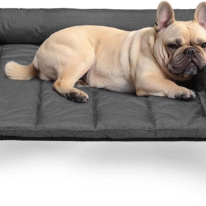 Cooling Elevated Dog Bed Add Removable Waterproof Bolster Cushion Mat, Raised Pet Cot with Breathable Teslin Mesh, No-Slip Feet, Dog Sofa Bed for Indoor Outdoor, Medium, Black CWC2331B