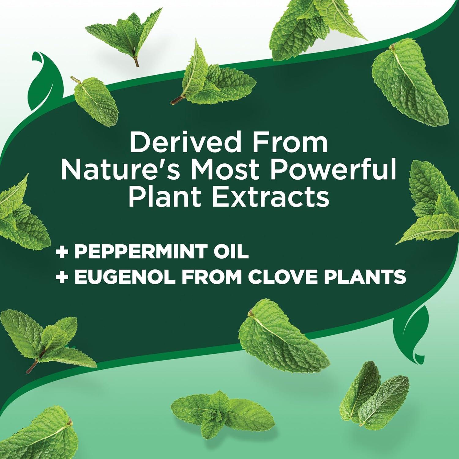 Vet’S Best Indoor Flea and Tick Spray – Dog Flea and Tick Treatment for Home, Plant-Based Formula with Natural Oils, Kills Fleas, Eggs & Ticks on Contact, Made in USA, 32 Oz - Image 5