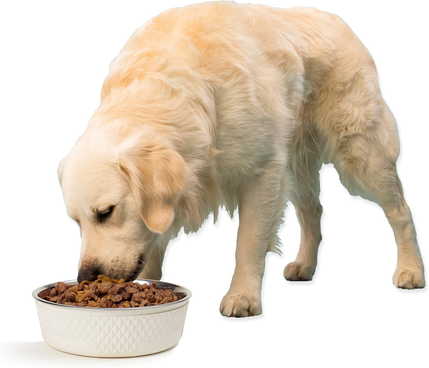 16011 Kona Stainless Steel Non-Slip Dishwasher-Safe Dog Bowl 6.5-Cup 8.5-Inch Diameter 2.75-Inch Tall for Large and Extra Large Dogs and Cats, White - Image 6