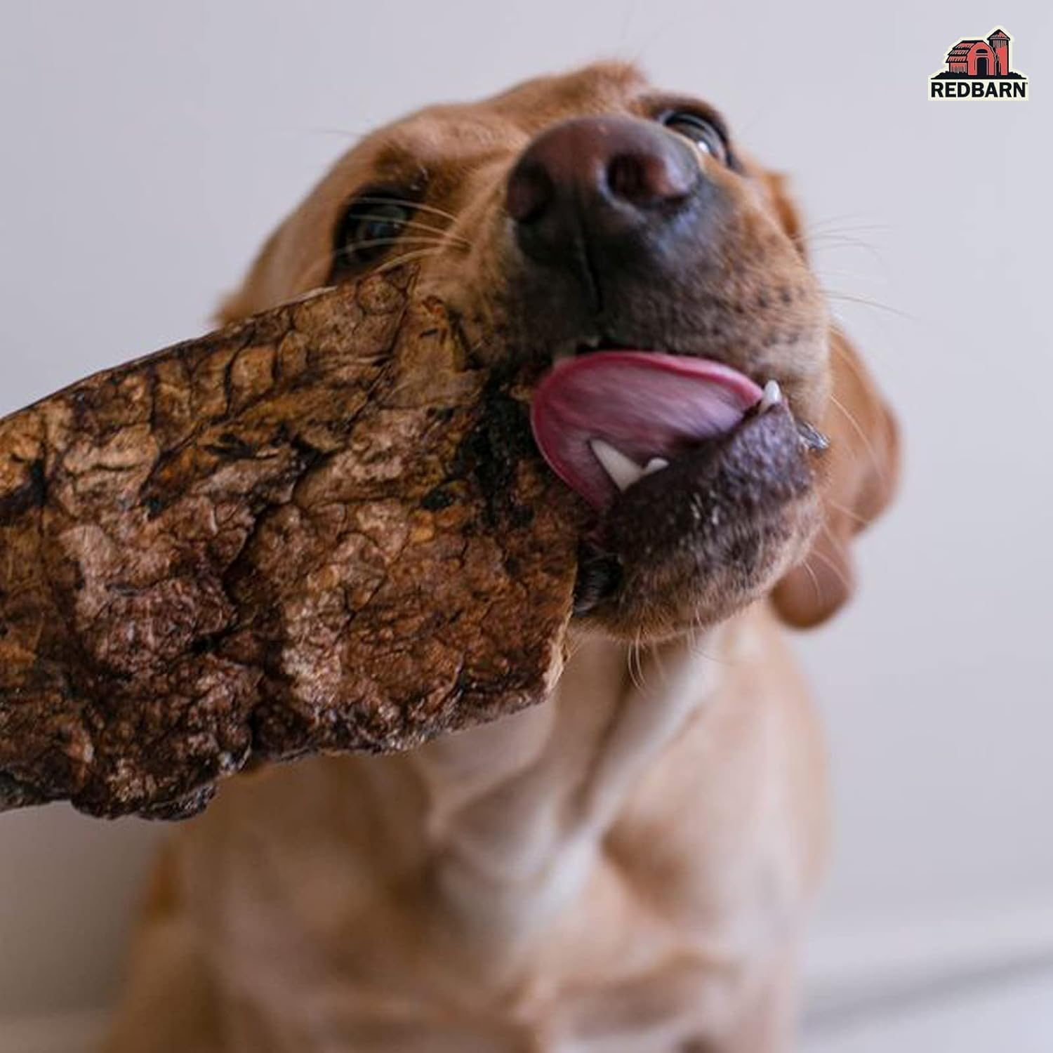 Natural Choppers Beef Lung Chew Treats for Dogs - Premium Made in USA Rawhide-Free Single Ingredient High Protein Low Fat - 9 Oz Bag - Image 5