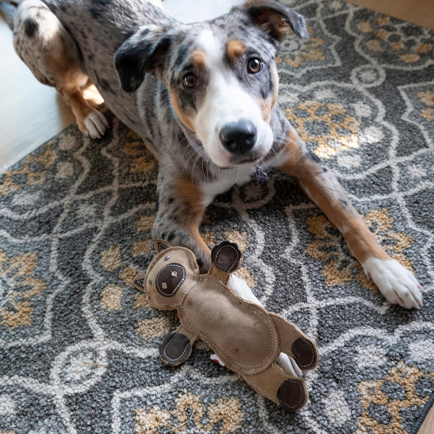 Dura-Fused Leather Barnyard Animals - Stuffed Dog Toy with Squeaker, Real Leather & Jute Fabric, for Light to Moderate Chewers, Great for Adult Dogs and Puppies - 11In, Assorted Styles, 1 Piece - Image 8