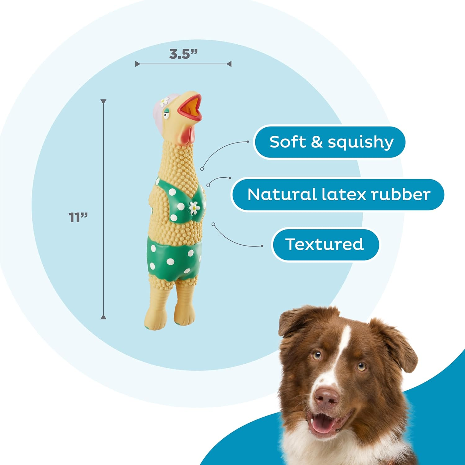 by Charming Pet Squawkers Grandma Hippie Chick Latex Squeaky Rubber Chicken Dog Toy, Funny Interactive Holiday Toy for Dogs, Large Size - Image 3
